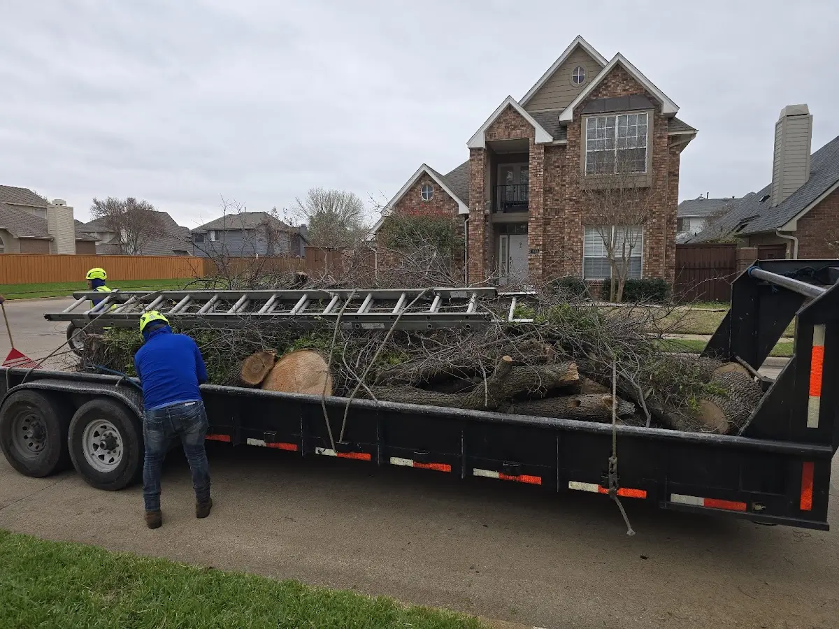 Expert Tree Fertilization with proper safety equipment in Etters